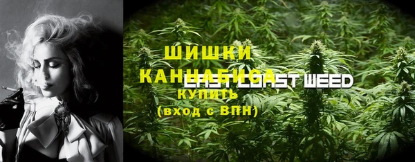 стафф Богданович